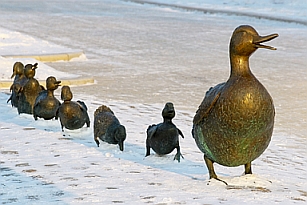 ducks in a row, row of ducks, bronze ducks