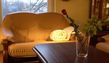 beige down throw blanket brown sofa beige down throw blanket brown sofa